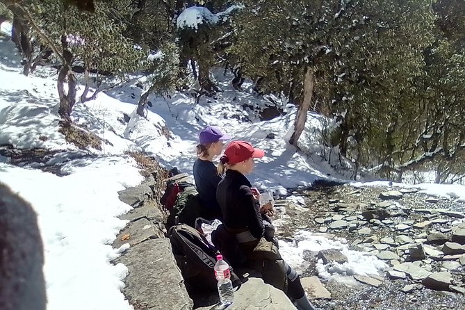 Annapurna: 5 Days Poon Hill Circuit Trek from Pokhara - Price and logistics: what you get for $257.07 and what you pay yourself