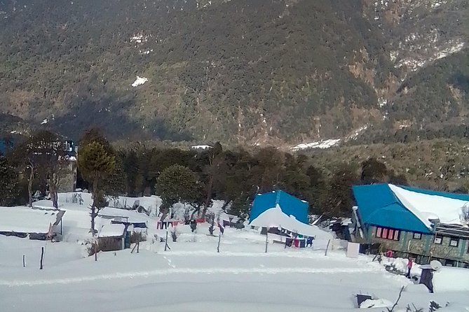 Annapurna: 5 Days Poon Hill Circuit Trek from Pokhara - Who this 5-day Poon Hill circuit is best for