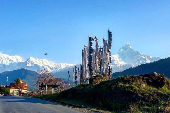 Annapurna Base Camp 7 Days Trek from Pokhara - Into the Annapurna Sanctuary approach: bamboo, rhododendron, and the Modi River feel