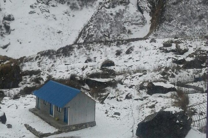 Annapurna base camp -9 days - Day 4: Rhododendron Forests and the Seti Gandaki Area