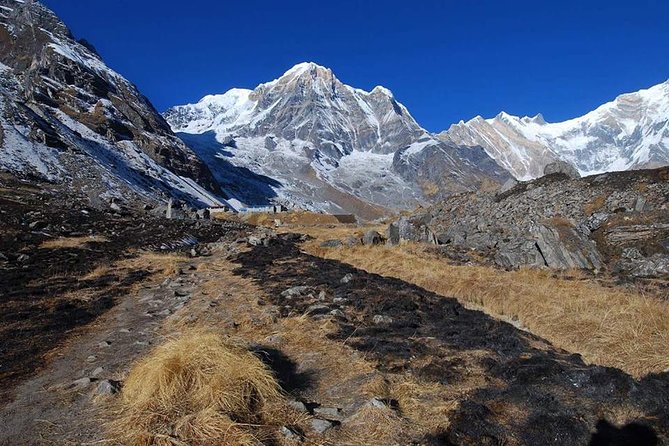 Annapurna Base Camp, Nepal 10 days - Day 5 Bamboo to Deurali at 3230m, a cold wet-feeling day