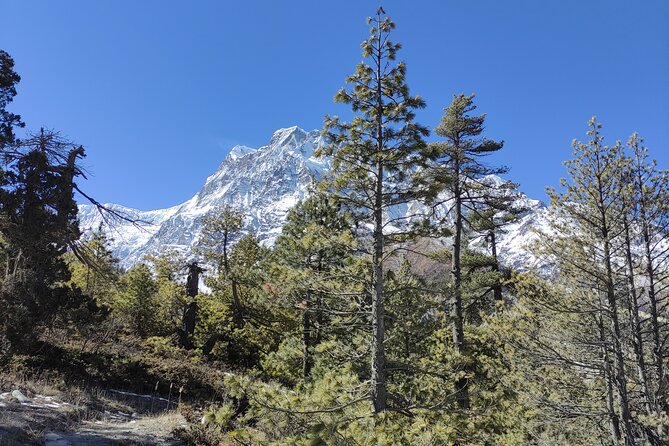 Annapurna Base Camp Trek - 10 Days - Key Things That Make This ABC Trek Worth Your Time