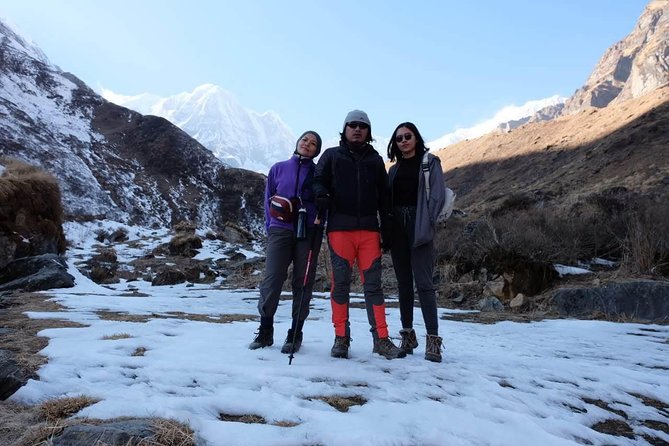 Annapurna Base Camp Trek - 10 Days - Sinuwa and the Stone Steps: The Section Where Lungs Learn Patience