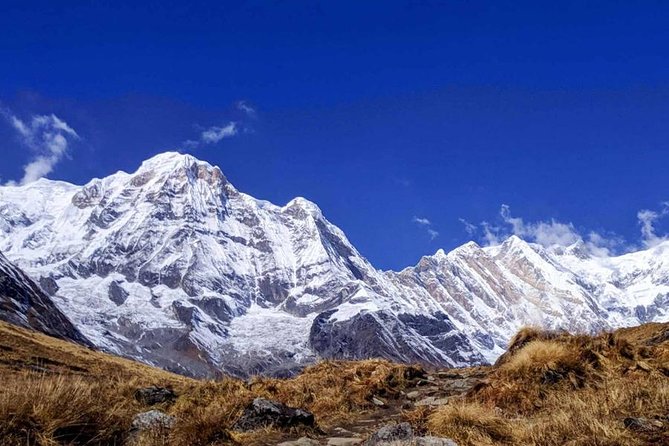 Annapurna Base Camp Trek- 11 Days - Day 6 to Annapurna Base Camp: the route through Machhapuchhre Base Camp