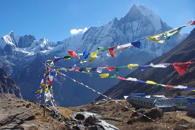 Annapurna Base Camp Trek -13 Days - Day-by-day on the trail: Ulleri to Poon Hill to the first big valleys
