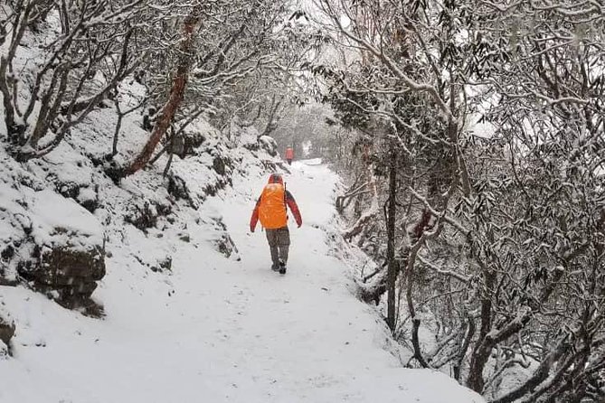 Annapurna base camp trek 5 Days - Price and Logistics: Is $699 Good Value?