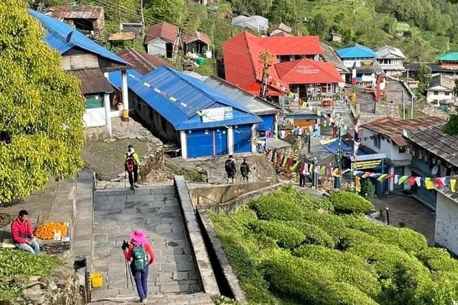 Annapurna Base Camp Trek 5 Days from Pokhara - Day 1: Ghandruk and Chhomrong, Village Life Meets Big Views