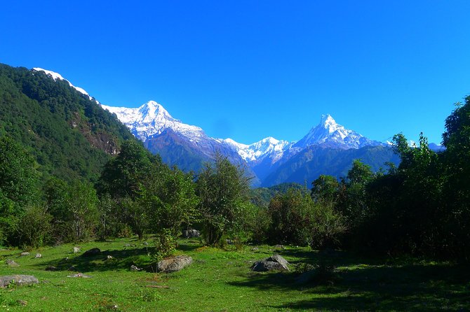 Annapurna Base Camp Trek -8 days - To Machhapuchhare Base Camp, You Walk Past Hinko Cave and Into Big Views