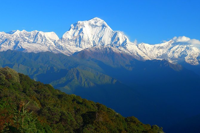Annapurna Base Camp Trek -8 days - Annapurna Sanctuary and Base Camp: The Short Walk That Feels Like a Reward
