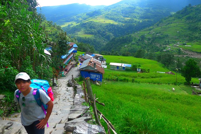 Annapurna Base Camp Trek -8 days - Bamboo Downhill and Back Into Trees: Recovery Without Losing the Plot
