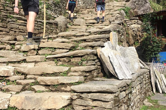 Annapurna Base Camp Trek from Pokhara - Day 8: back to Nayapul and into Pokhara