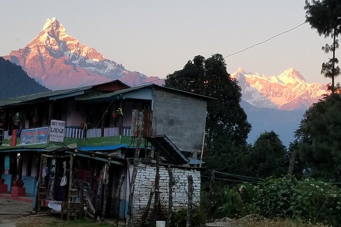 Annapurna Base Camp Trekking - 14 Days - Days 8 to 10: Machhapuchre Base Camp and the push to 4130m