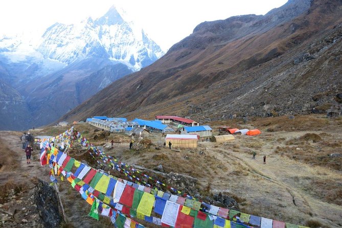 Annapurna Base Camp Trekking - 14 Days - Days 11 to 14: bamboo down, Jhinu Danda, and the return to Kathmandu comfort