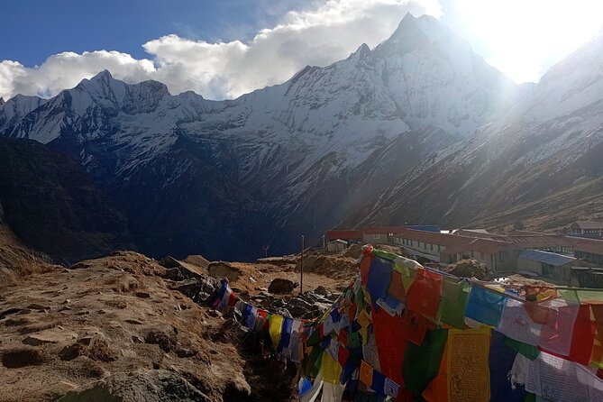 Annapurna Base Camp Trekking - Spring Rhododendrons, Big-View Days, and Wildlife Chances