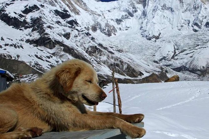 Annapurna Base Camp with Poon hill 9-Day Trek Itinerary - Key points to know before you go