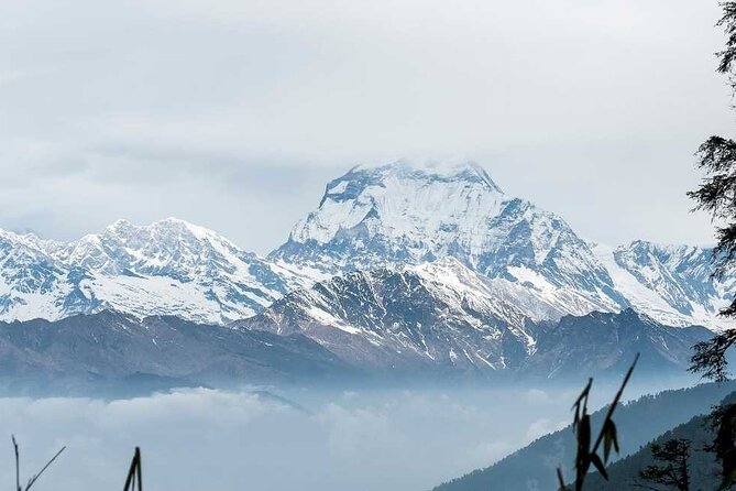 Annapurna Base Camp with Poon hill 9-Day Trek Itinerary - Day 1: Pokhara to Nayapul to Ulleri, then settle in