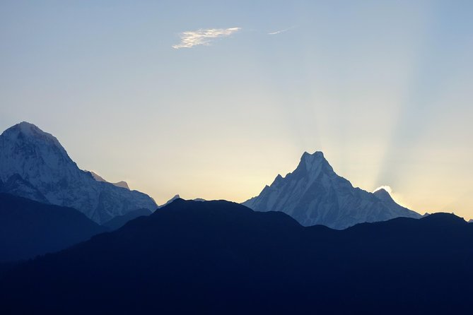 Annapurna Circuit Trek 12 days - Wildlife and forests: what you might see in the Annapurna Conservation Area