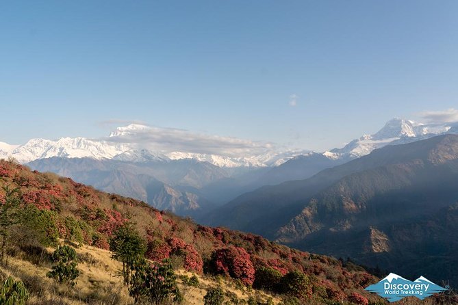 Annapurna Circuit Trek with Tilicho Lake - The Team, the Group Size, and Why Logistics Matter on Trek Days