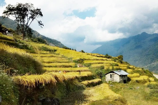 Annapurna Circuit Trekking -17 Days - Day 8: acclimatization in Manang, where good decisions beat bravery