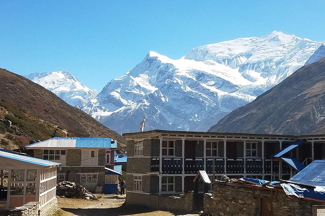 Annapurna Circuit Trekking -17 Days - Days 9 and 10: Yak Kharka and Phedi, gearing up for Thorung La