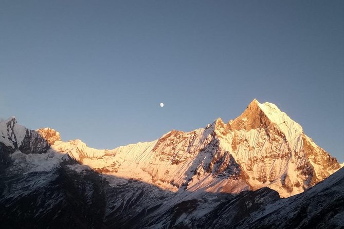 Annapurna Full Circuit Trek - Forest days and village days: what they give you besides views