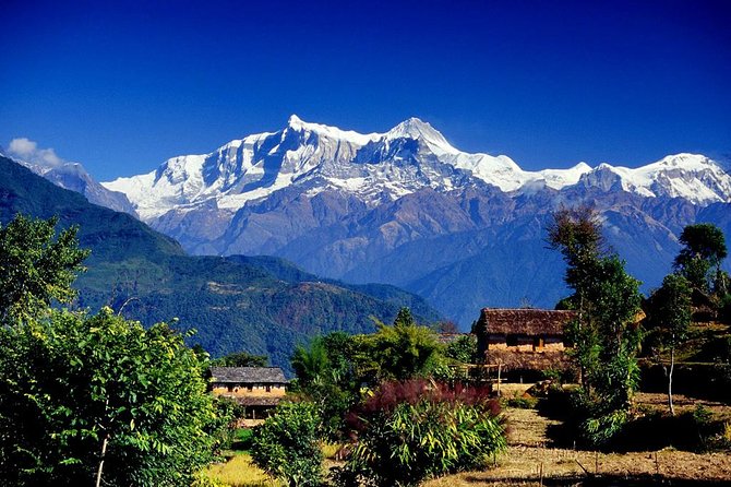Annapurna Ghorepani Poon Hill trek from Pokhara short and easy hike in Himalaya - Key highlights you’ll feel on the trail