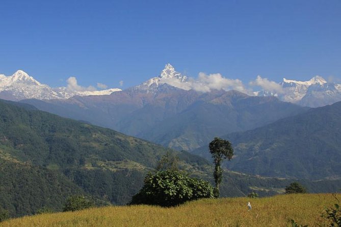 Annapurna Panorama trek - Key points to know before you go