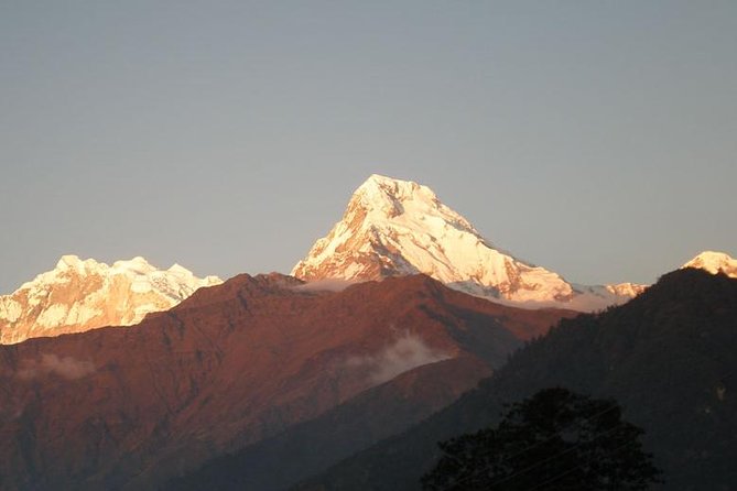Annapurna Panorama trek - Trek Days 4 to 6: Nayapul to Ulleri, Ghorepani, and Poon Hill