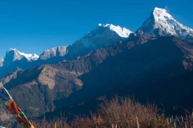 Annapurna Poon hill Sunrise Trek - Days 3 and 4: Ulleri to Ghorepani, stairs, forests, and village life
