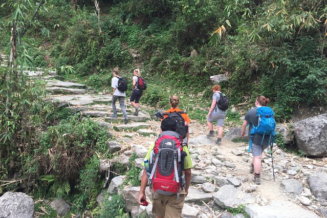 Annapurna Poonhill Trek - Day 8: Sarangkot dawn and a gentler finish in Kathmandu