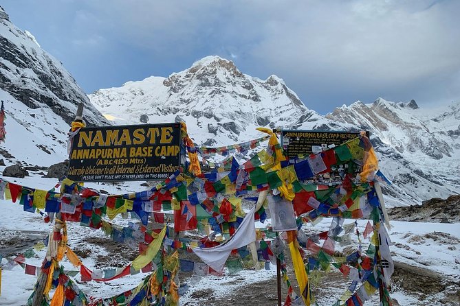 Annapurna Sanctuary Trek ( 11 Days) - Getting started in Kathmandu: temples, altitude prep, and easy first day flow