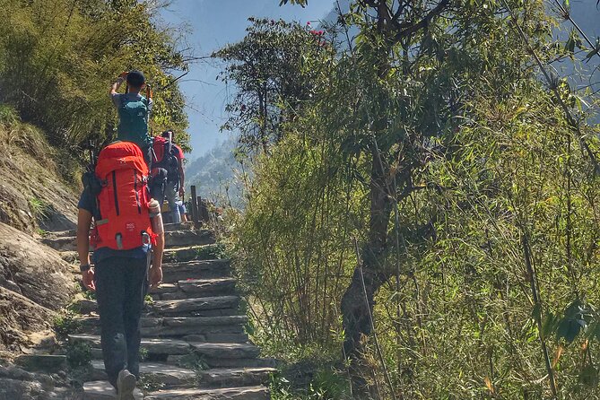 Annapurna Sanctuary Trek ( 11 Days) - Upper Sinuwa and Chhomrong: bridges, steep steps, and the Gurung feel