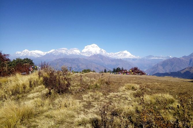 Annapurna Sunrise Trek - Key highlights worth your attention