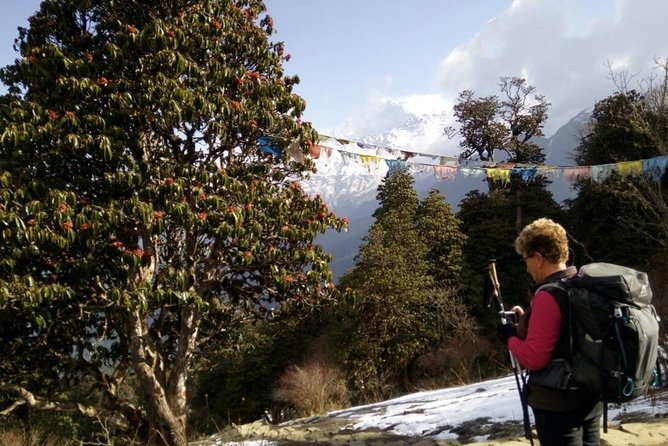 Annapurna Sunrise Trek - The logistics you should plan for, including what costs extra