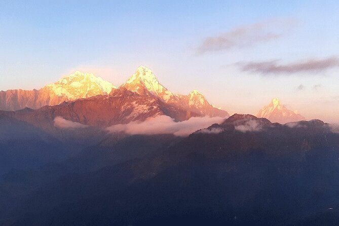 Annapurna View Trek - What the trail feels like: rhododendrons, birds, and village steps