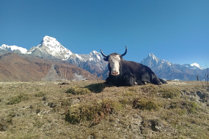 Annapurna View Trek - Price and logistics: what $750 buys, and what you still need to plan