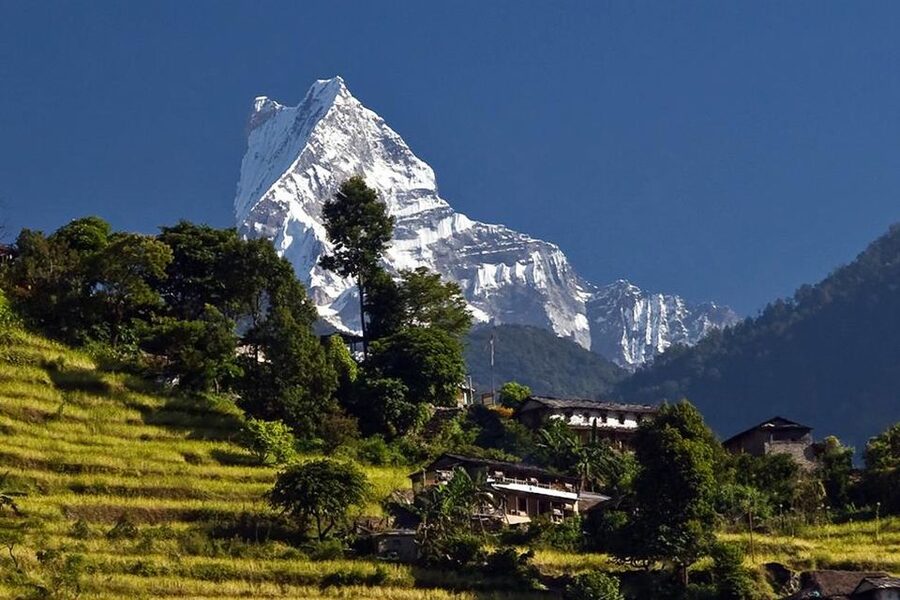 Australian Base Camp Day Hike From Pokhara - Uphill from the Dhampus side: forests, villages, and a stair-heavy rhythm