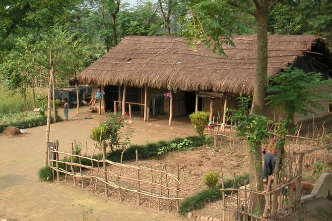 Best Nepal Tour: Kathmandu Pokhara Chitwan Tour - Day 2 and 3 in Chitwan: Jeep Safari, Canoe Time, and a Real Wildlife Setting