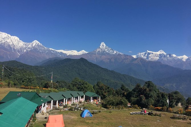 Best of Nepal Luxury Adventure Tour Package - 9 Days - Royal Chitwan days: safari time plus the quieter nature moments