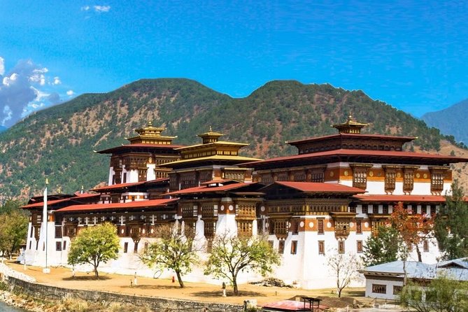 Bhutan Tour- 4 DAYS 3 NIGHTS - Day 1 in Paro: Land in the Clouds, Meet Your Guide, Then Ease In