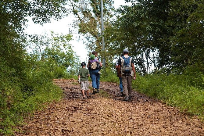 Birding Hike: Day Birdwatching in Kathmandu - Key highlights you’ll care about