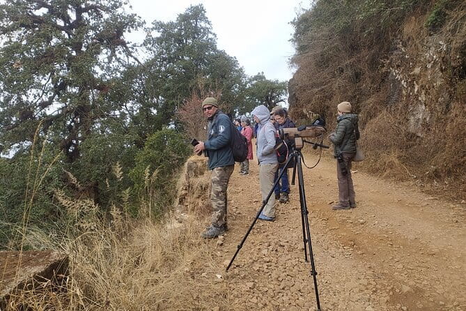 Birding Hike: Day Birdwatching in Kathmandu - Why this Kathmandu birding hike is such a smart day plan