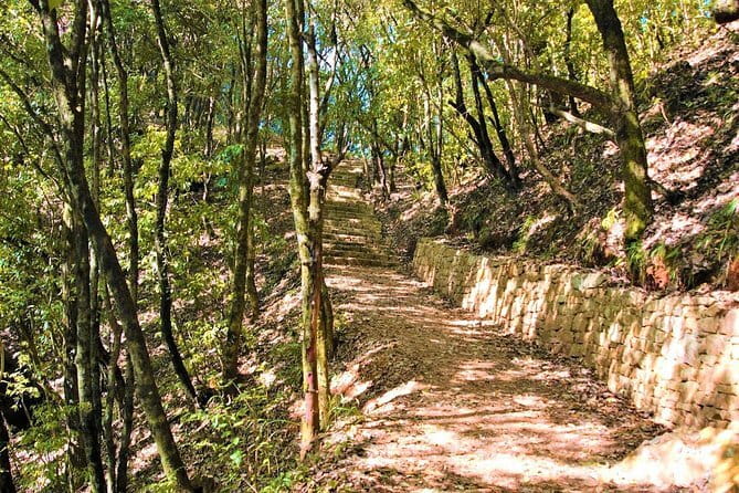 Birding Hike: Day Birdwatching in Kathmandu - Phulchoki Protected Forest: where high-altitude birding can get real