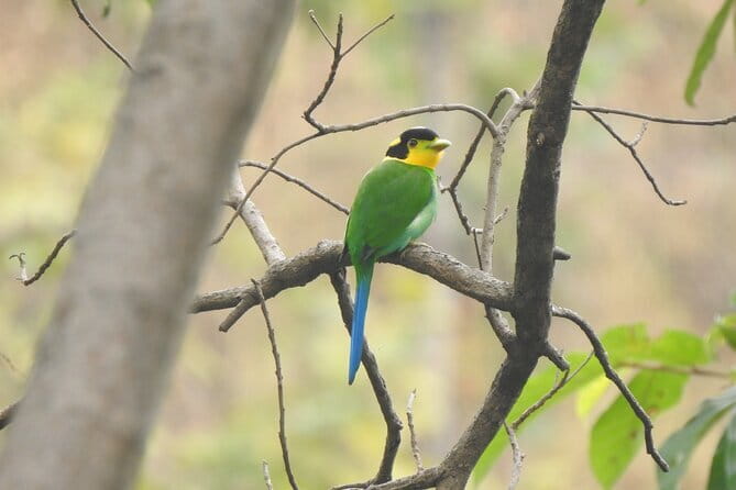 Birding Hike: Day Birdwatching in Kathmandu - Meeting up in Kathmandu, and what the schedule really means