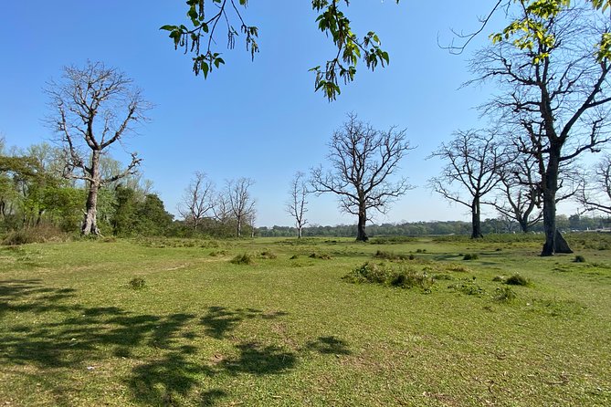 Canoeing and Nature Walk in Chitwan National Park - Rapti River Meets Jungle Trails: Why This Chitwan Combo Works