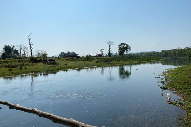 Canoeing and Nature Walk in Chitwan National Park - The One Hour Nature Walk in Chitwan Forest With a Guide