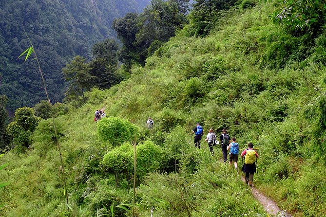 Chisapani - Nagarkot Trek Nepal - 3 Days - Day 2: Chauki Bhanjag lunch with mountains behind you, then down to Nagarkot