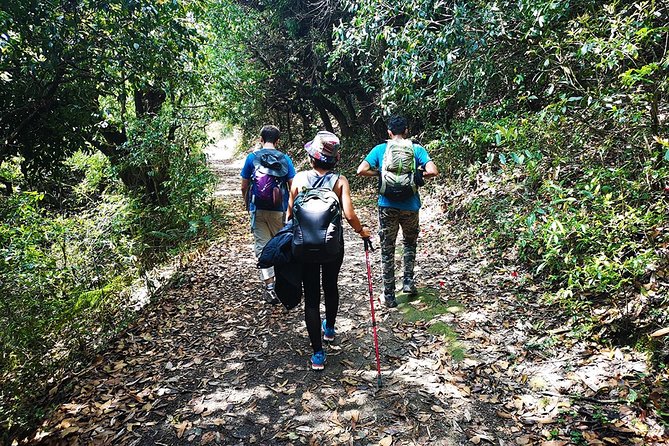 Chisapani - Nagarkot Trek Nepal - 3 Days - The guide and how they reduce your mental load