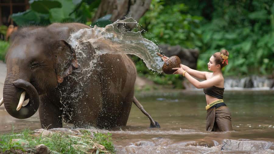 Chitwan: Jungle Safari Tour with Canoe Ride in Forest River - Day 2 jeep safari plus Rapti canoe ride: the wildlife day