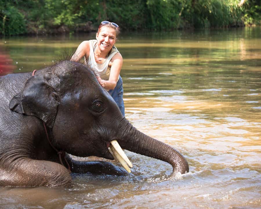 Chitwan: Jungle Safari Tour with Canoe Ride in Forest River - Price and value: what $201 per person is buying